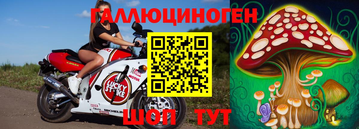 Городец  Псилоцибиновые грибы Cubensis  Псилоцибиновые грибы Cubensis  Вход с VPN 