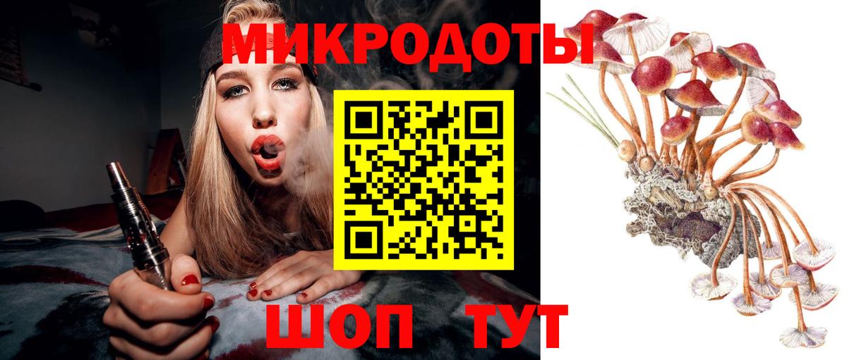 Галлюциногенные грибы MAGIC MUSHROOMS Городец